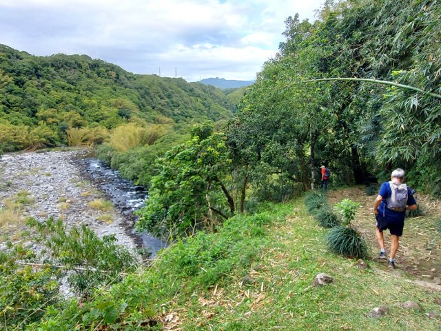 La Rivière des Marsouins bordée de grosses touffes de bambous