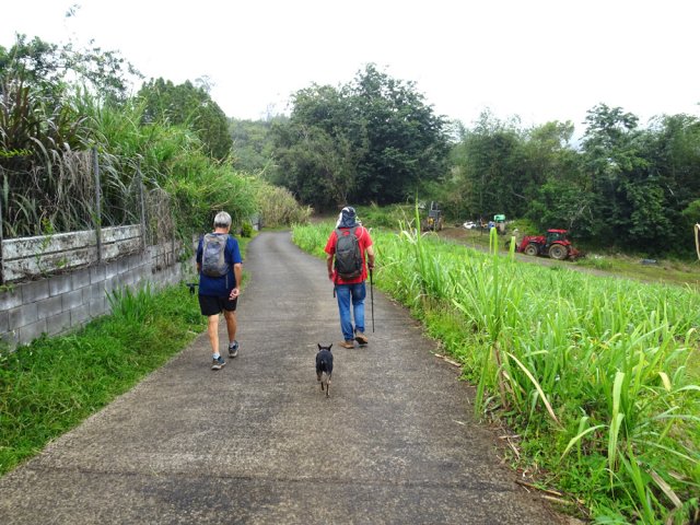Le contournement du pôle électrique en direction de la Rivière des Roches
