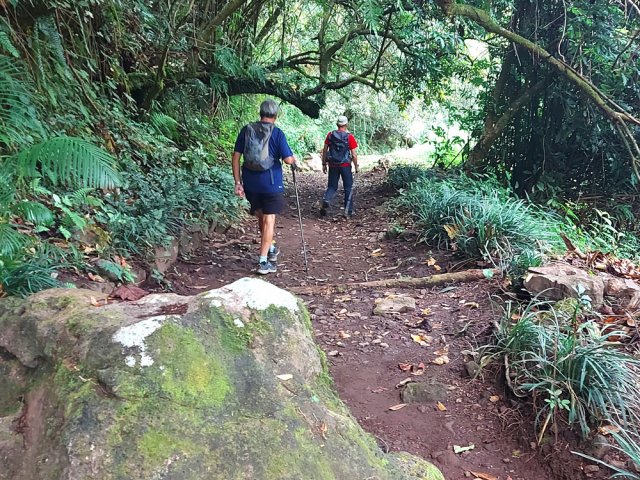 Aucune difficulté sur l'ancienne piste en légère descente