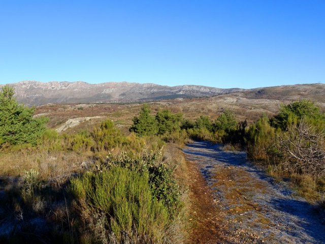 La montée au Puy de Tourettes débute par une piste