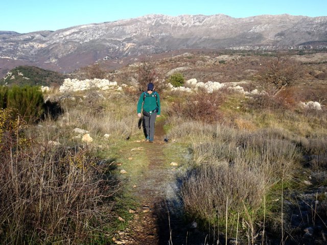 Plus haut, elle est vite remplacée par un sentier étroit