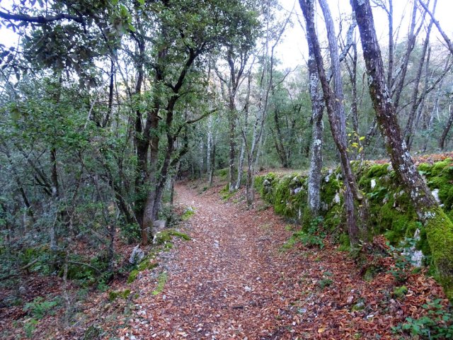 Le sentier suivant est bordé de murets