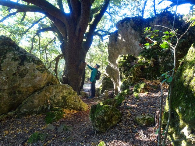 Le premier rencontré a sans doute 10 siècles