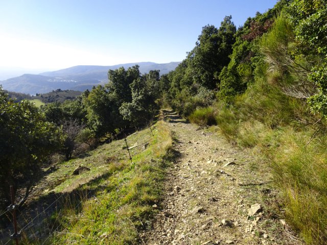 Balade en descente le long des clôtures