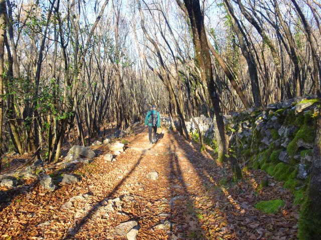 On finit dans les bois le long des murets en direction de Courmes