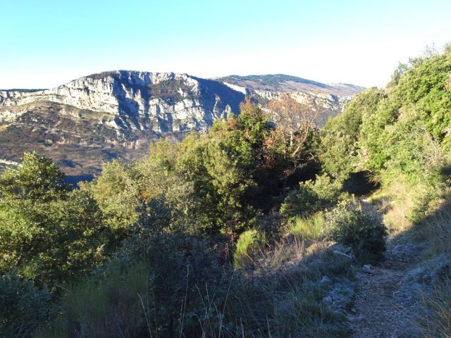 Sentier étroit et presque plat dans les chênes verts