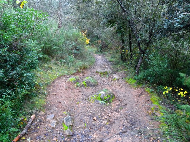 Direction le Vallon du Bruguet sur un sentier facile