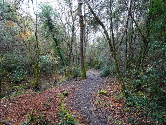 Le sentier de rapproche du Bruguet