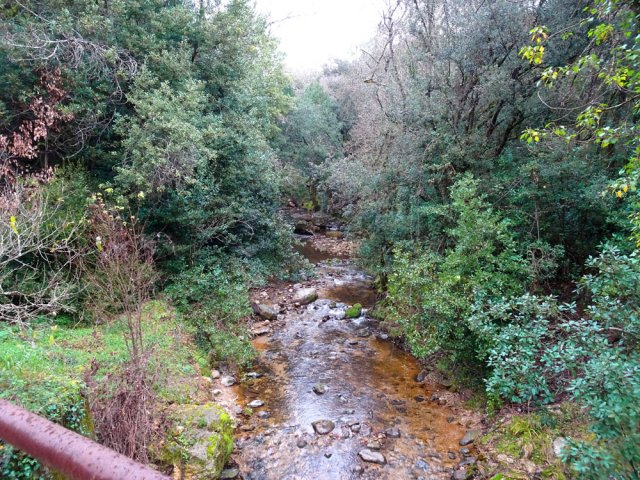 La Brague depuis le pont