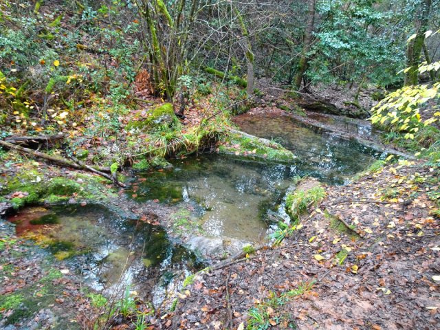 Quelques flaques subsistent dans le lit du ruisseau