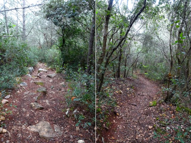 Le sol alterne entre pierres et terre