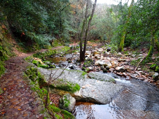Impossible de se perdre avec ce sentier bétonné le long des berges