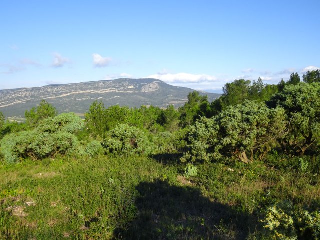 Vers Camplong-d'Aude et le Roc de l'Aigle (552 m)