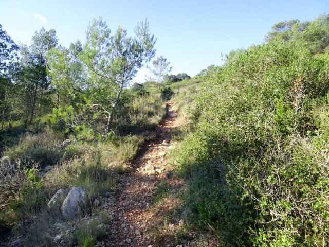 Sentier rocailleux très peu envahi de végétation piquante