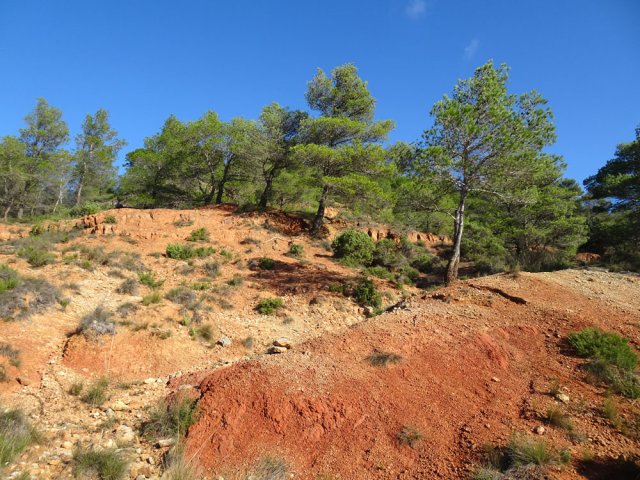 On peut, si on le désire, effectuer du hors sentier puisque rien ne gêne la marche