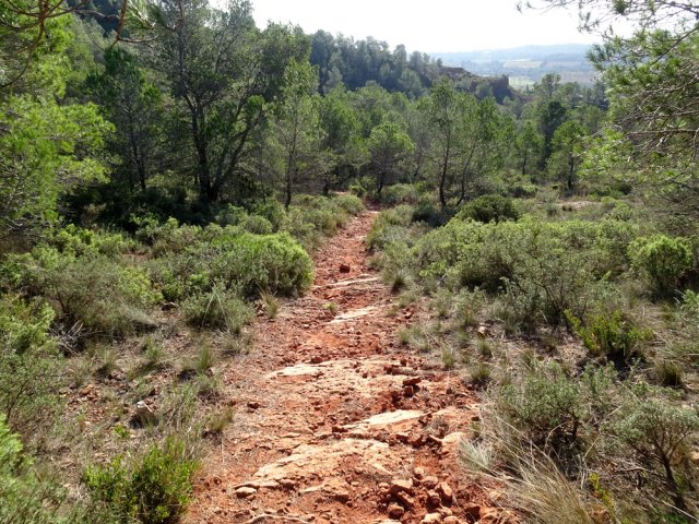 Le sol, toujours rouge, devient de plus en plus pierreux