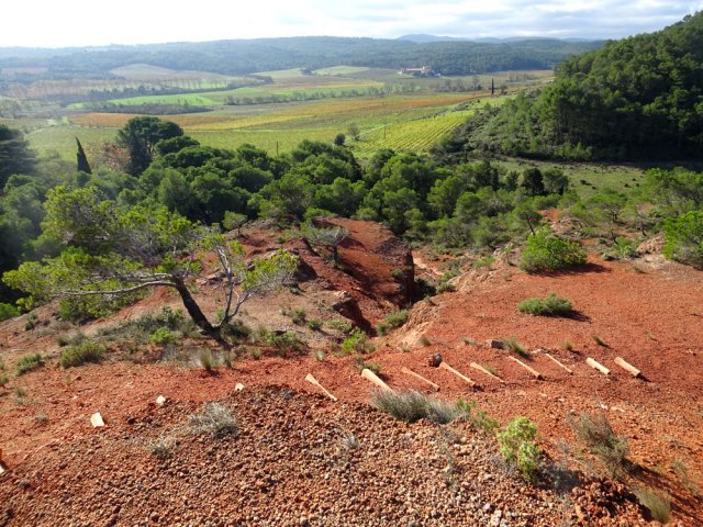 On retrouve les paysages de vignes depuis le GR