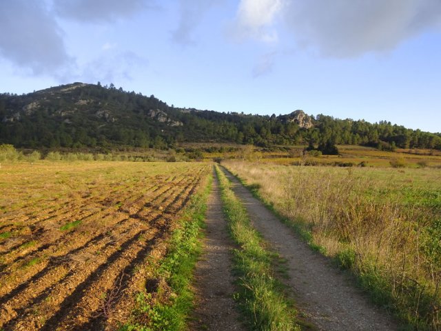 Marcher en direction du Serra de la Bade à travers champs en visant le Roc Troué