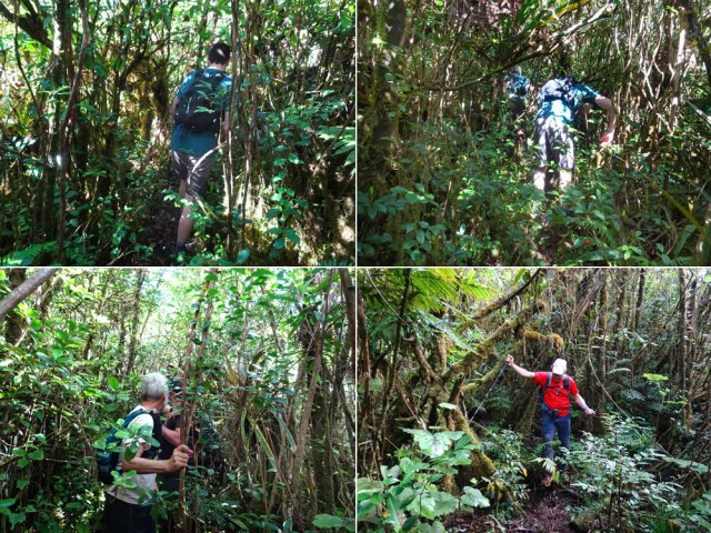 Guetter les rubalises pour être certain d'être sur le bon parcours