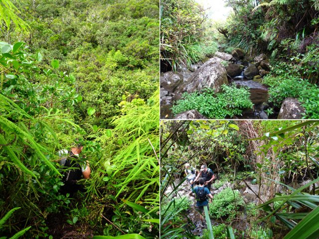 Forte descente vers une ravine