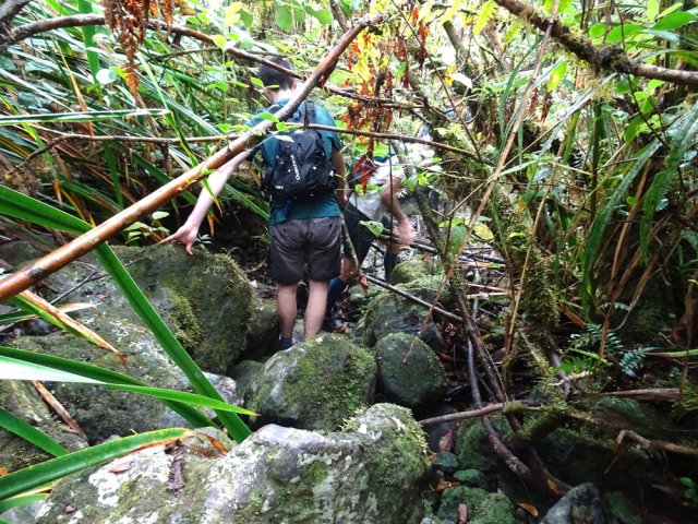 Le cheminement emprunte plusieurs fois les lits de petites ravines