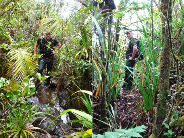 Un autre passage de ravine puis de forêt