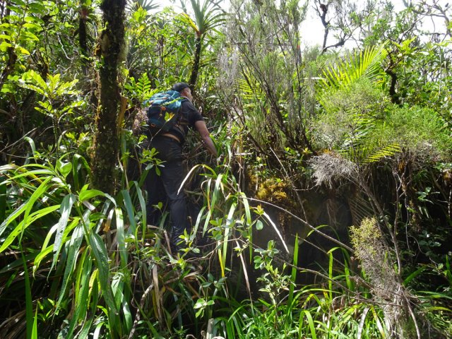 Courte escalade pour partir en direction du prochain bassin