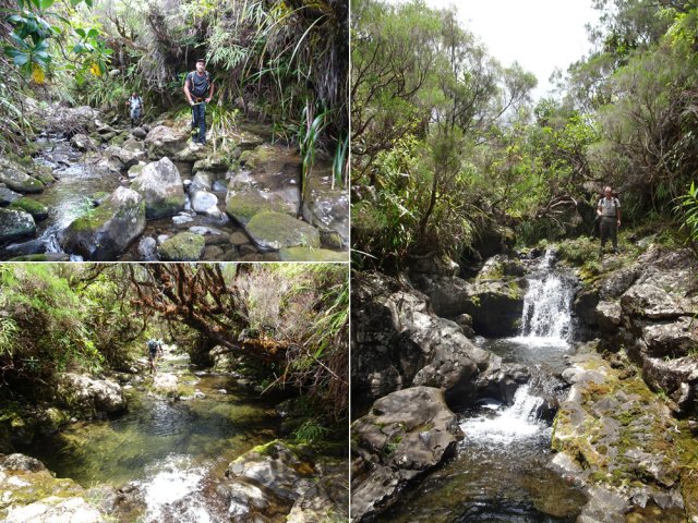 Très agréable ravine où le cheminement est plus rapide qu'en forêt
