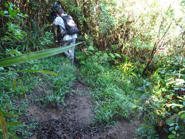 Ne pas manquer la bifurcation en quittant le sentier officiel