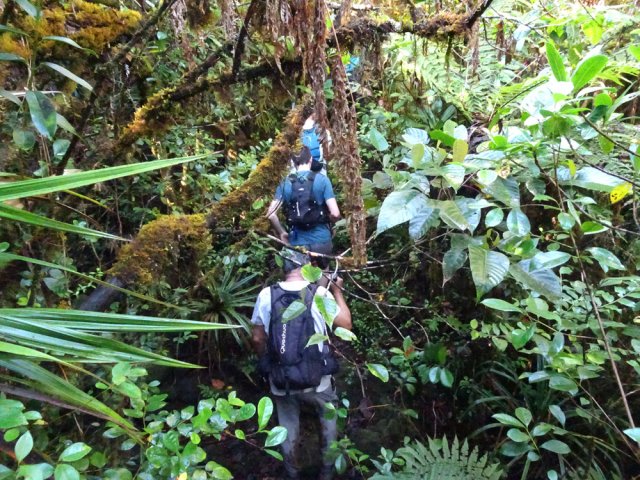 L'aventure peut commencer