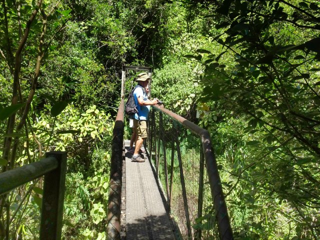 La passerelle enjambant le Bras Patience pour admirer la cascade