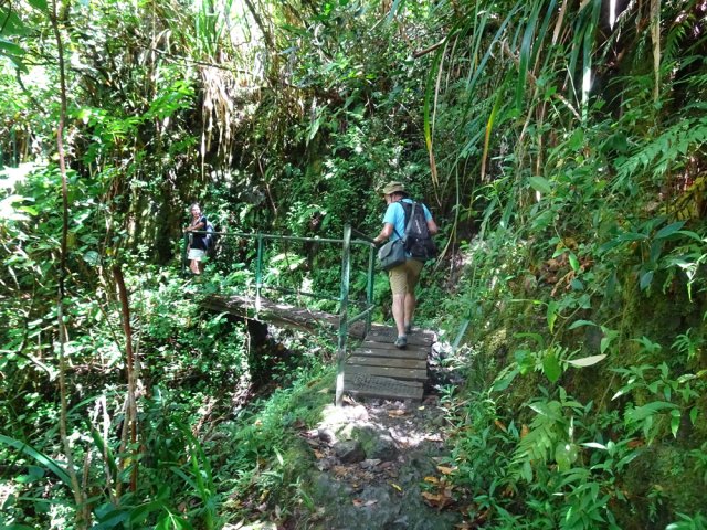 Les passerelles en bois peuvent être également glissantes