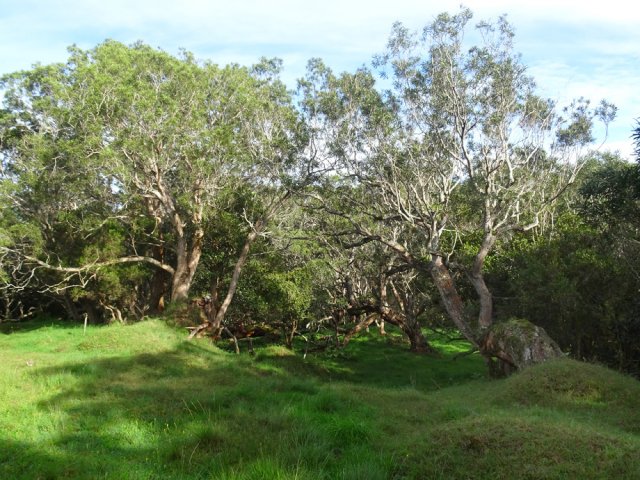 Il y en a de toutes les tailles et de toutes les formes