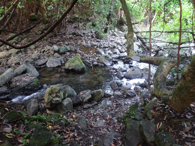 Un autre où chacun choisit le meilleur passage sur les roches