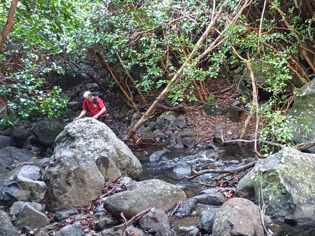 On arrête très vite de compter les traversées de ruisseau