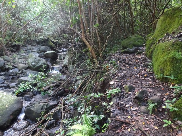Le sentier est souvent très proche du ruisseau