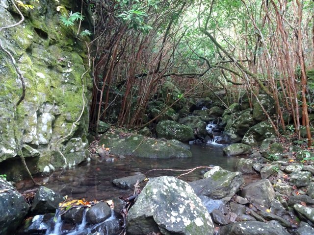 Le torrent n'est jamais impressionnant