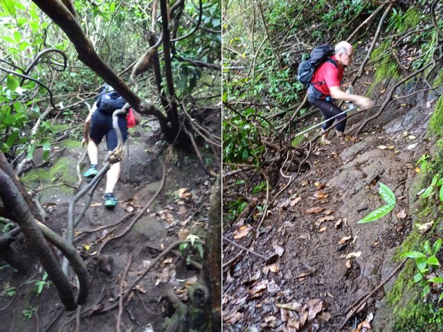 Un passage assez acrobatique sans cordes mais avec racines et lianes