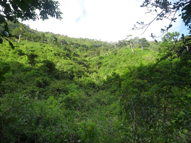 Un des rares points de vue de la montée en direction de la forêt