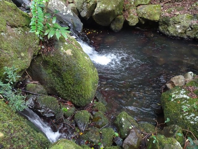 Il faut quitter le sentier d'une dizaine de mètres pour se rapprocher de certains bassins