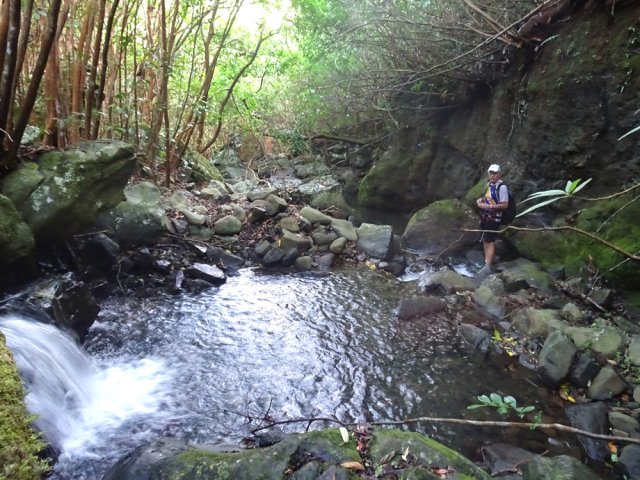 On peut même les repérer pour une baignade au retour