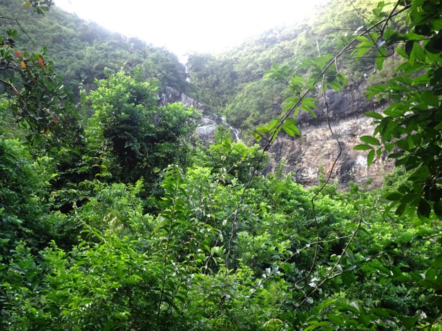 On aperçoit enfin la haute cascade après plus d'une heure de montée