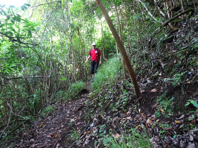 La fin du sentier est assez étroite