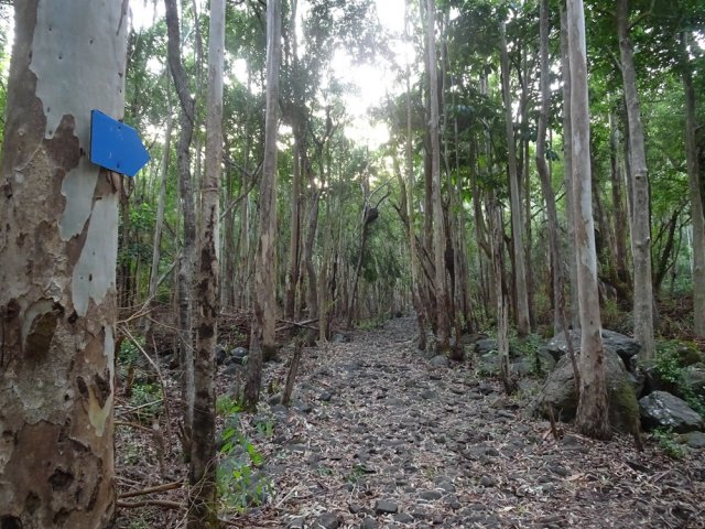 Pas de difficultés pour remonter la piste hormis peut-être pour les chevilles