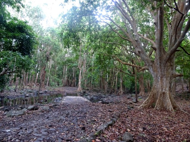 Le large chemin empierré franchit le gué de la Rivière Noire