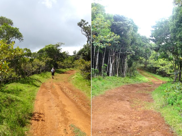 Nouvelle balade reposante sur de larges pistes