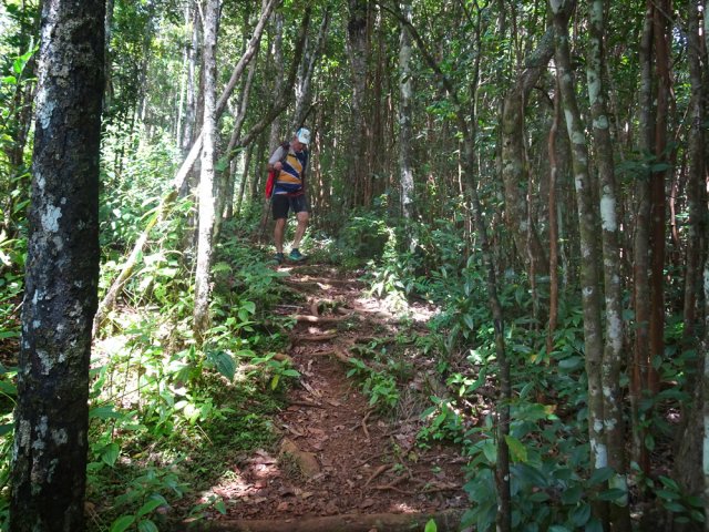 Entamer la descente vers la cascade de Mare aux Joncs dans une belle forêt