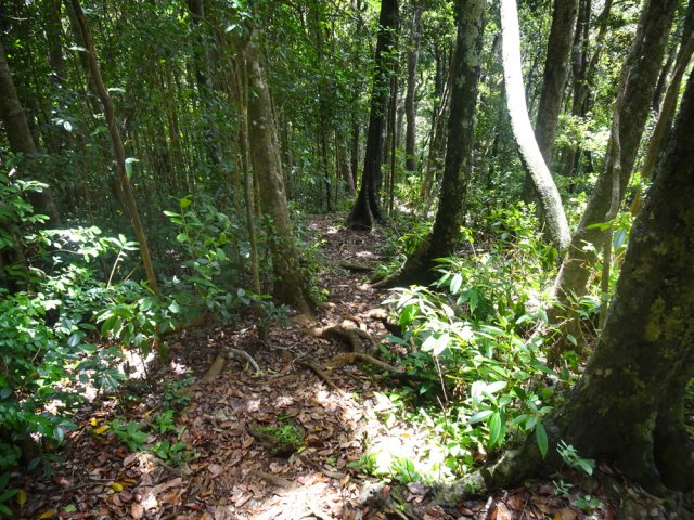 Quelques fortes descentes mènent au cours d'eau que l'on entend déjà couler