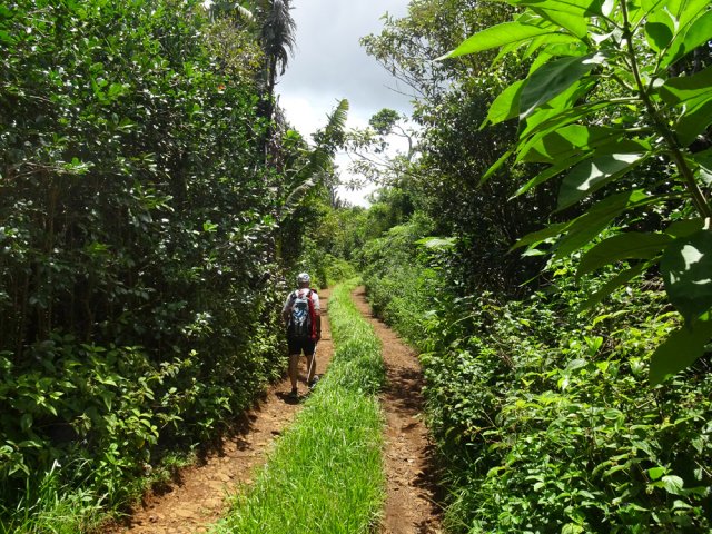 Partir à gauche sur une très agréable piste en direction du Réservoir de Mare Longue