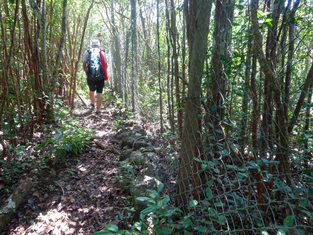 Le sentier longe le grillage de la zone scientifique de Plaine Lièvre Fields Station